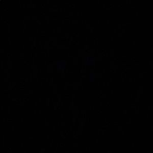 Meet your Posher, Yungin